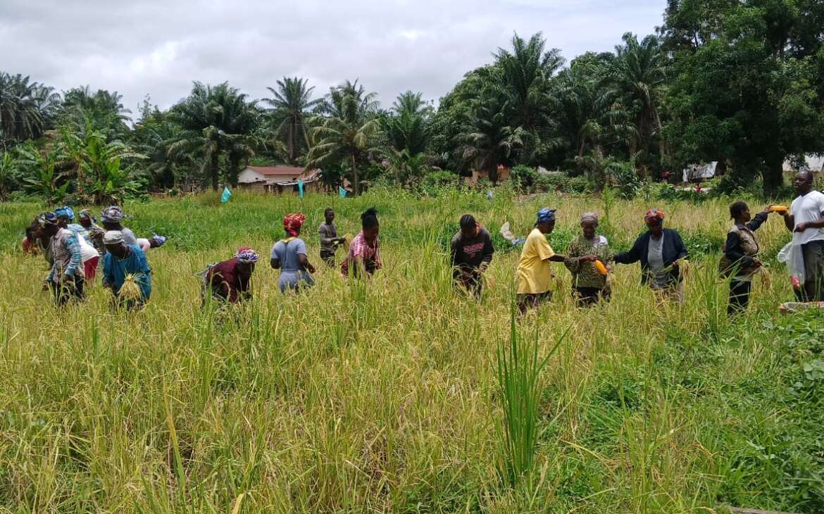 Our Land. Our Climate. Our Future